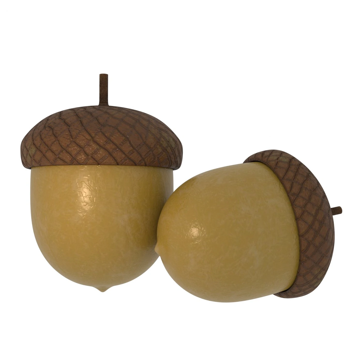 forest nut 3D Model .c4d .max .obj .3ds .fbx .stl .blend