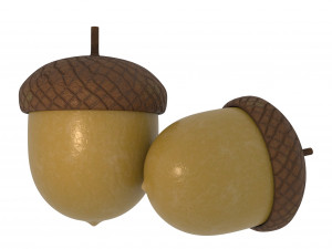 forest nut 3D-Modell