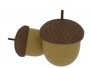 forest nut Modello 3D