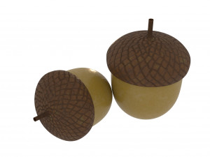 forest nut Modello 3D
