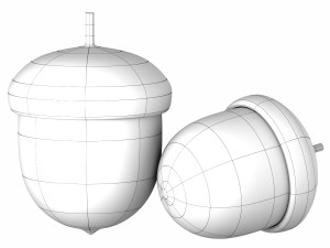 forest nut Modello 3D