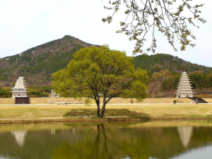 stone pagoda at mireuksa temple site 3Dモデル