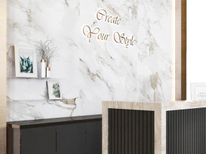 прийом02 3D Модель