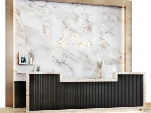 прийом02 3D Модель