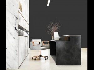 прийом06 3D Модель