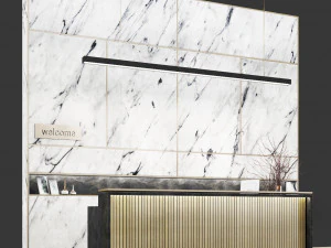 прийом06 3D Модель