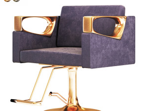 beauty salon chair 3D Model