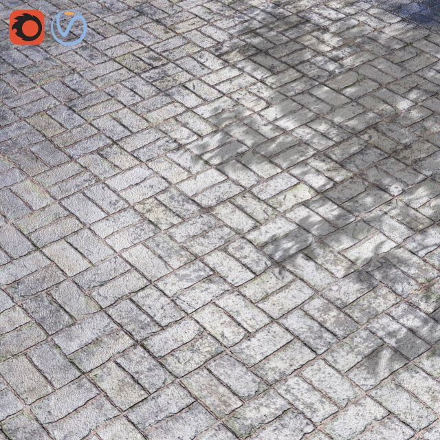 paving02 CG Texturen .c4d .max .obj .3ds .fbx .stl .blend 