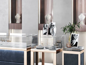 Jewelry store showcase jewellery showroom 3D Model
