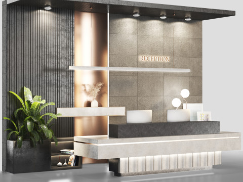 Reception Dark theme 3D मॉडल