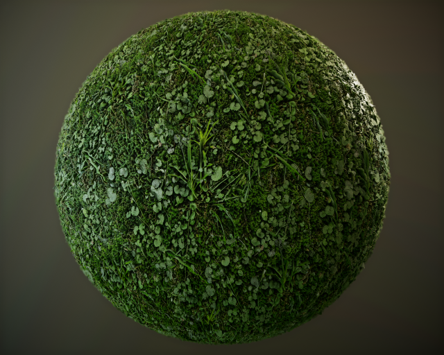 10 seamless pbr grass textures CG 텍스쳐 .c4d .max .obj .3ds .fbx .stl .blend