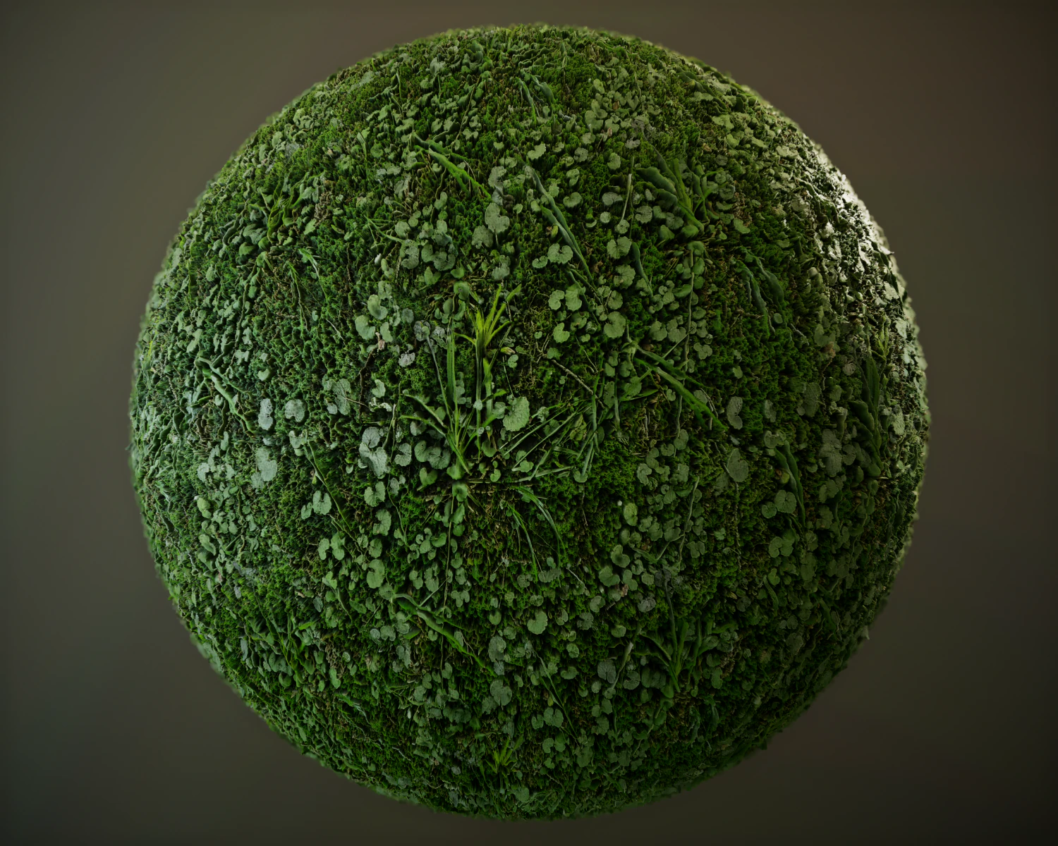 10 seamless pbr grass textures CG Textures .c4d .max .obj .3ds .fbx .stl .blend 