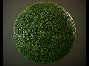 10 seamless pbr grass textures CG Textures