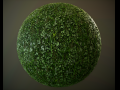 10 seamless pbr grass textures CG Textures