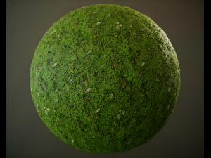 10 seamless pbr grass textures CG टेक्स्चर्स