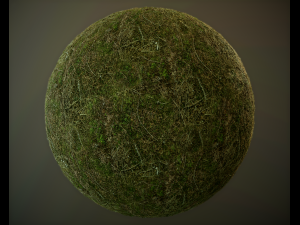 10 seamless pbr grass textures CG टेक्स्चर्स