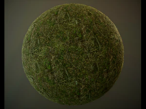 10 seamless pbr grass textures CG Textures