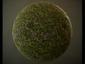 10 seamless pbr grass textures CG टेक्स्चर्स