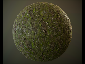 10 seamless pbr grass textures CG टेक्स्चर्स