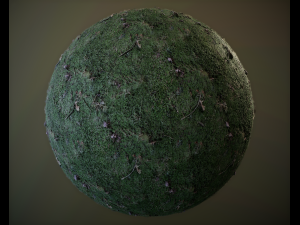 10 seamless pbr grass textures CG टेक्स्चर्स