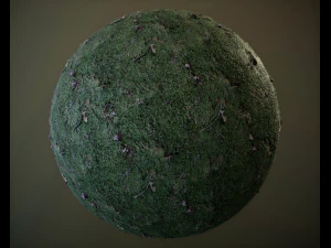10 seamless pbr grass textures CG Textures
