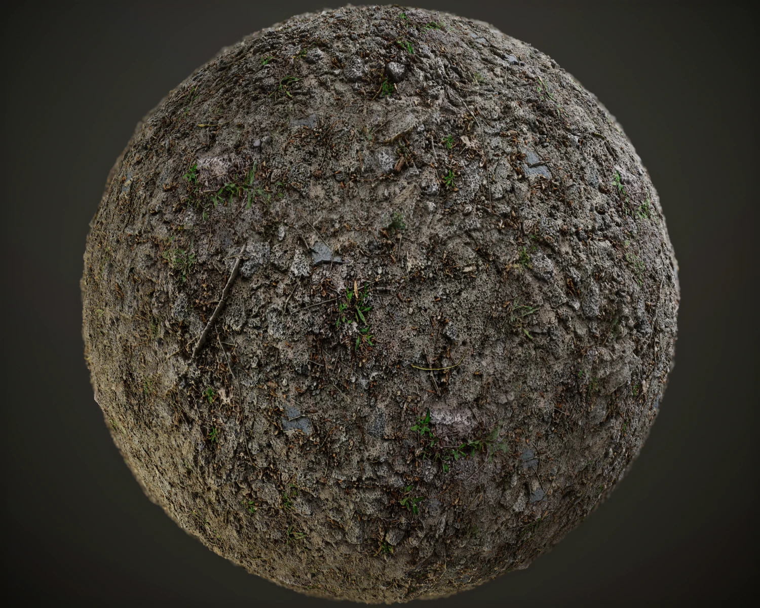 Tileable forest dirt pbr texture CG Textures .c4d .max .obj .3ds .fbx .stl .blend 