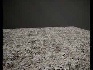 Tileable forest dirt pbr texture CG Textures