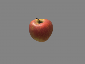 realistic apple 3D 모델