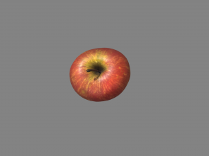 realistic apple Modello 3D