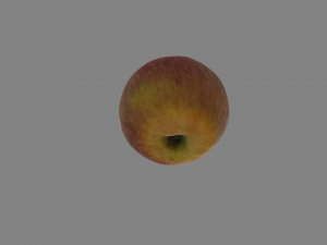 realistic apple Modello 3D