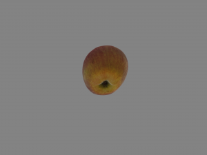 realistic apple Modello 3D
