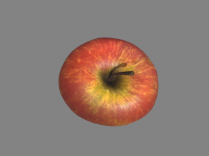 realistic apple Modello 3D