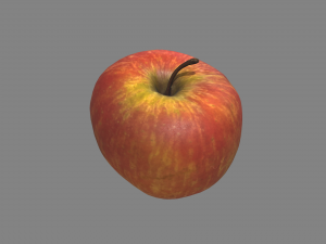 realistic apple Modello 3D