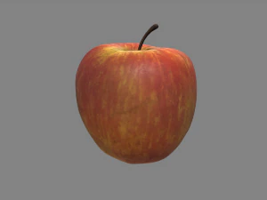 ger&ccedil;ek&ccedil;i elma 3D Model