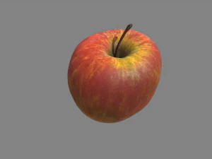 ger&ccedil;ek&ccedil;i elma 3D Model