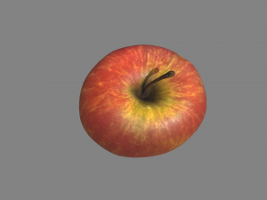 realistic apple Modello 3D