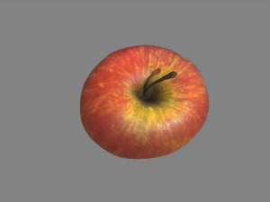 ger&ccedil;ek&ccedil;i elma 3D Model