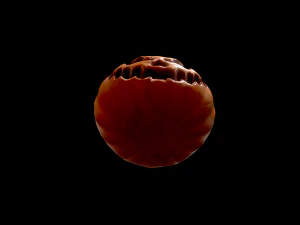 halloween pumpkin head vol 3 3D Model