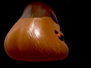 halloween pumpkin head vol 4 3D Model
