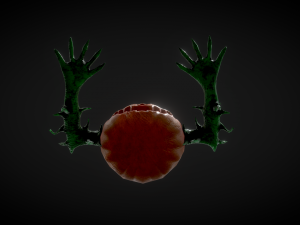 halloween pumpkin head vol 5 Model 3D