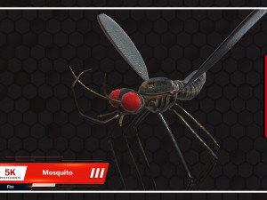 Mosquito 3D Model