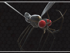 Mosquito 3D Model