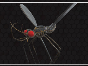 Mosquito 3D Model
