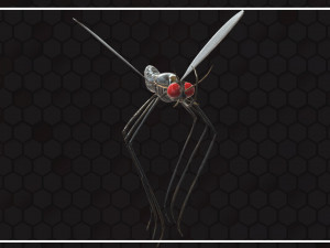 Mosquito 3D Model