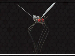 Mosquito 3D Model