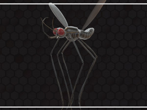 Mosquito 3D Model