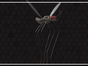 Mosquito 3D Model