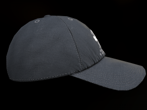 NY Cap Modello 3D