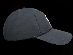 NY Cap 3D Model