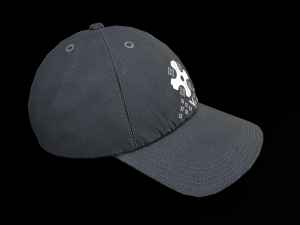 NY Cap Modello 3D